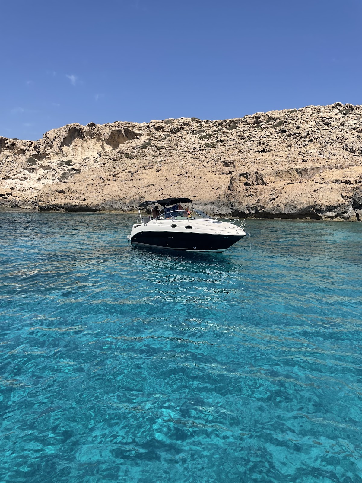 Scubacat Boat Trips & Private Charters shop