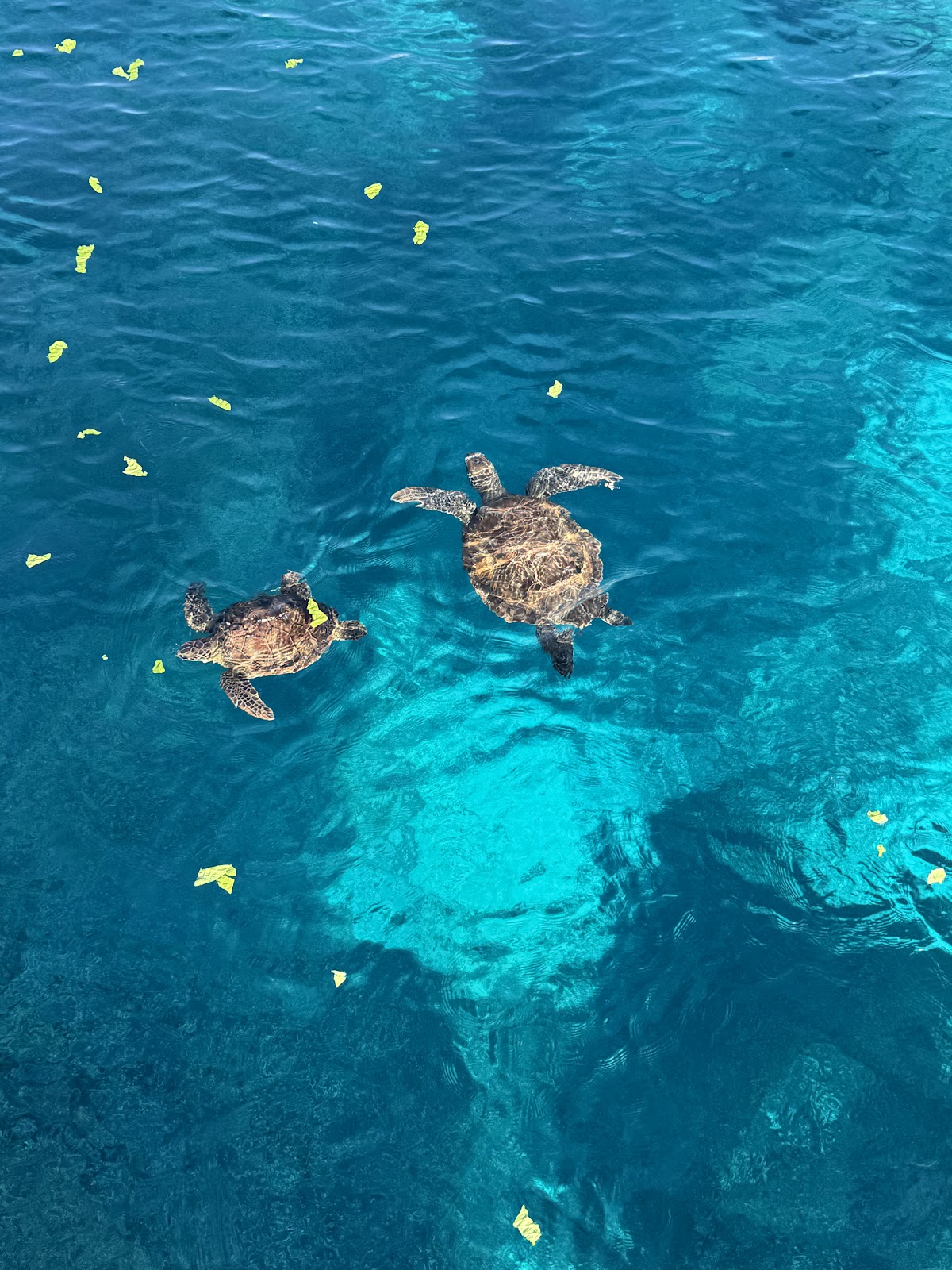 Tourist-facing sea-day photos